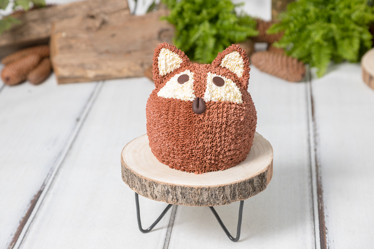 Cake Smash taart vos