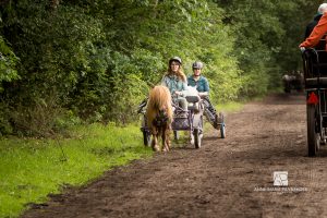 Eper paardenvierdaagse juni 2018