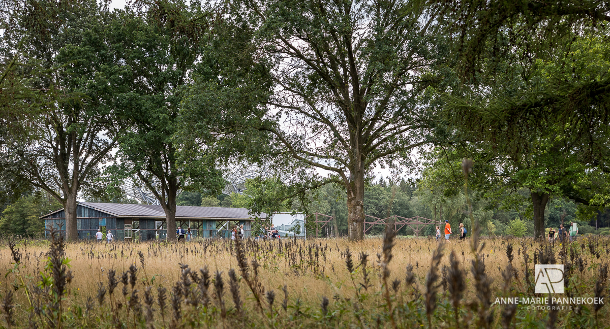 Kamp Westerbork barak 56 overzicht Kamp Westerbork barak 56 overzicht